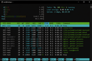 Cách quản lý tài nguyên VPS Linux bằng lệnh htop để theo dõi CPU và RAM thực tế